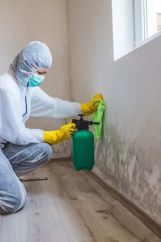 Removing Mold and Mildew